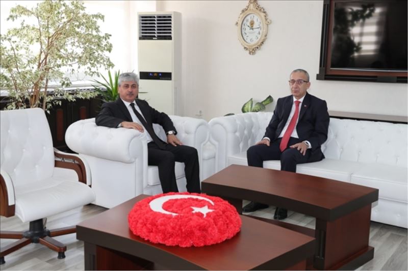 Validen iade-i ziyaret