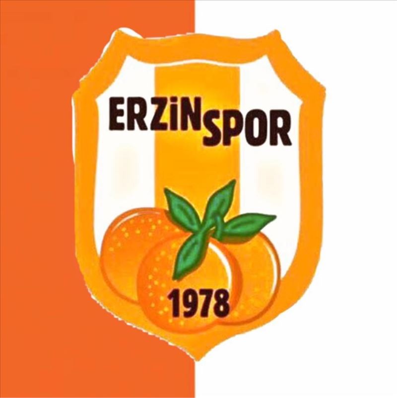 Erzin: 1-Sultanbeyli: 1