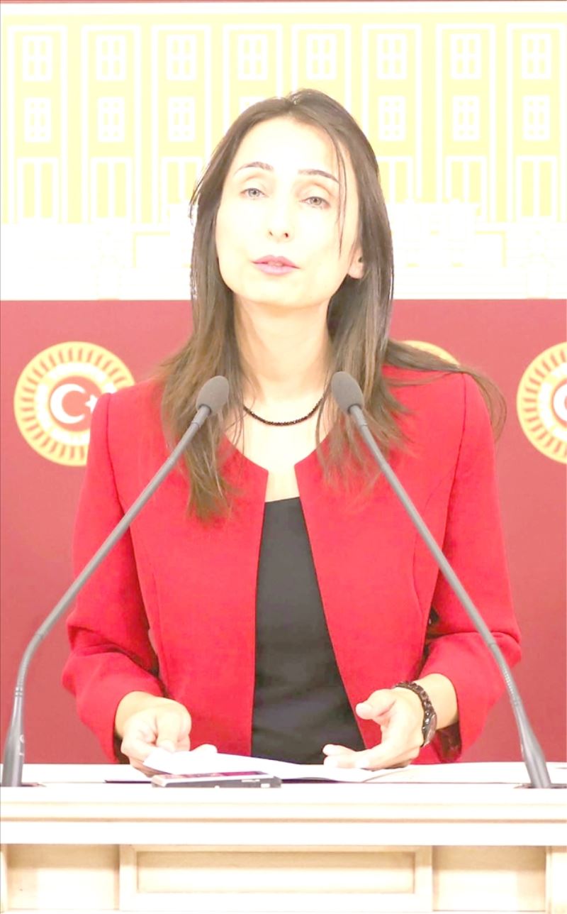 ‘Evlilik Affı´na soru önergesi