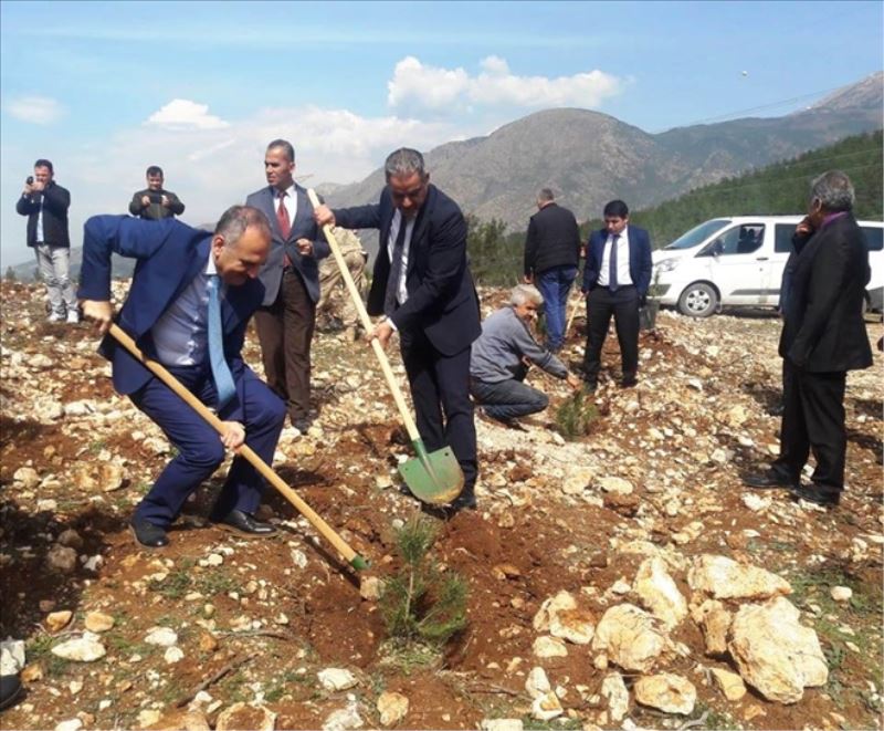´Adalet Ormanı´na fidan ekimi