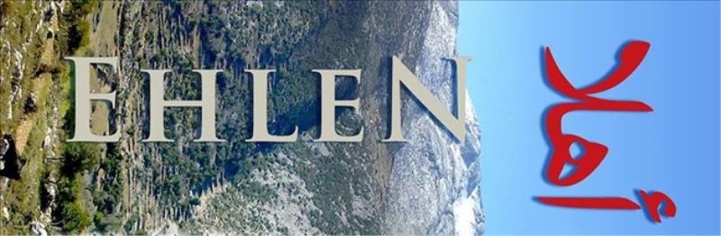 “Dayanışmacı yapı inşa edilmeli”
