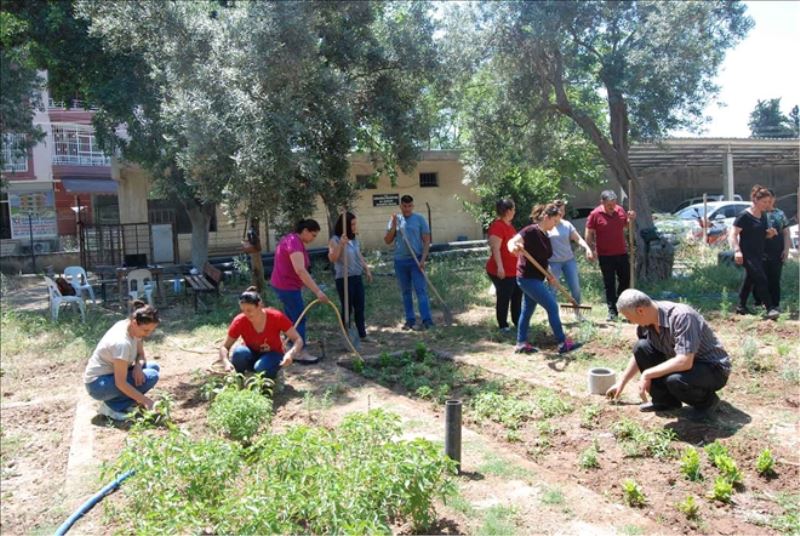 Arsuz´da İlaç ve Baharat Bitkileri Yetiştiriciliği Kursu