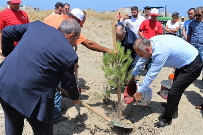 Kampüse 15 Temmuz fidanı