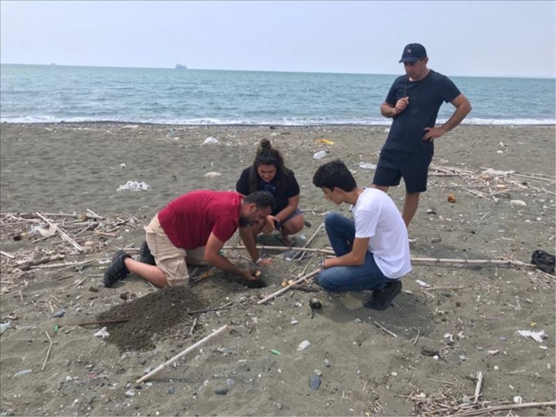 Korunan yavrular denizle buluştu