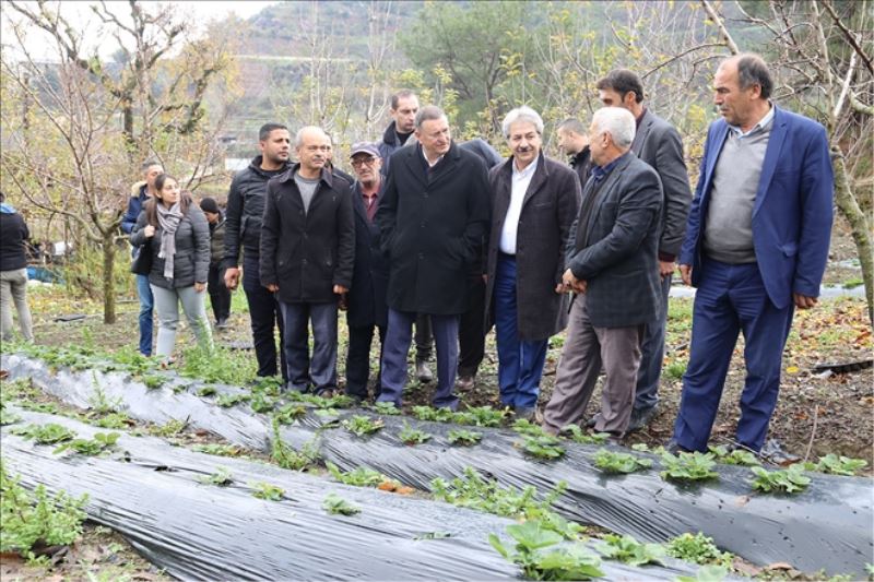 HBB´den üreticiye Karakılçık buğdayı tohumu