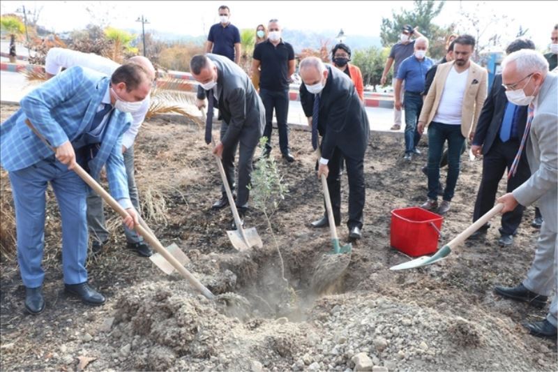 İMYO sahasına fidan dikimi
