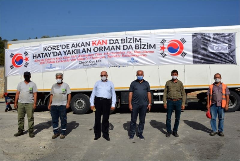 Koreli firmadan 3 bin 43 zeytin fidanı
