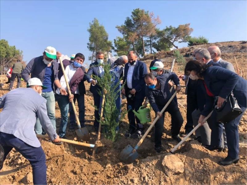 Milli Ağaçlandırma Günü