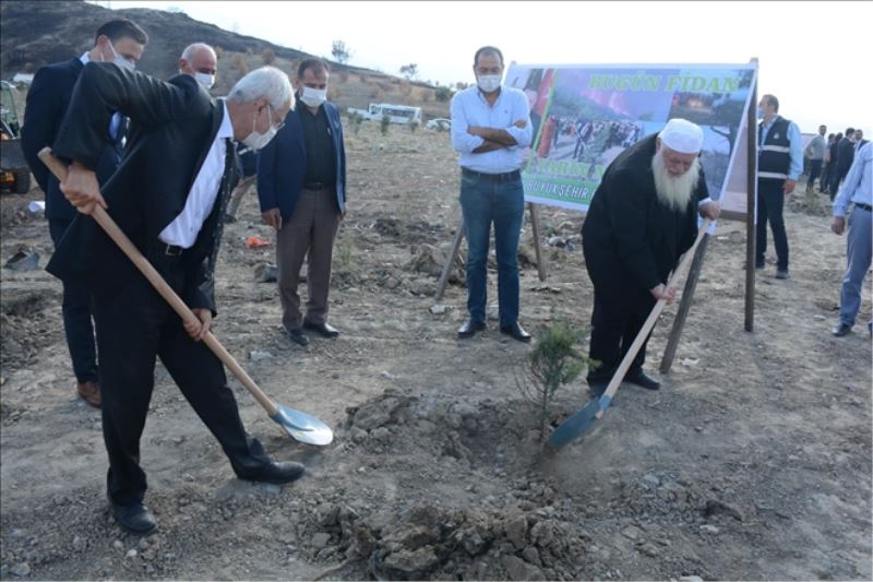 40 dönüme 2 bin fidan