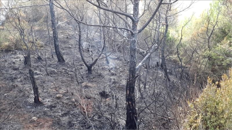Yangın sargısına Beylikdüzü katkısı