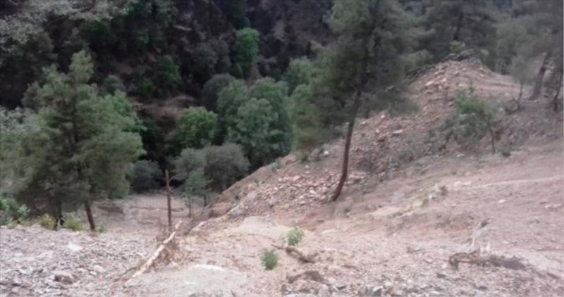 Kekik topladığı yamaçtan düştü, kurtarılamadı