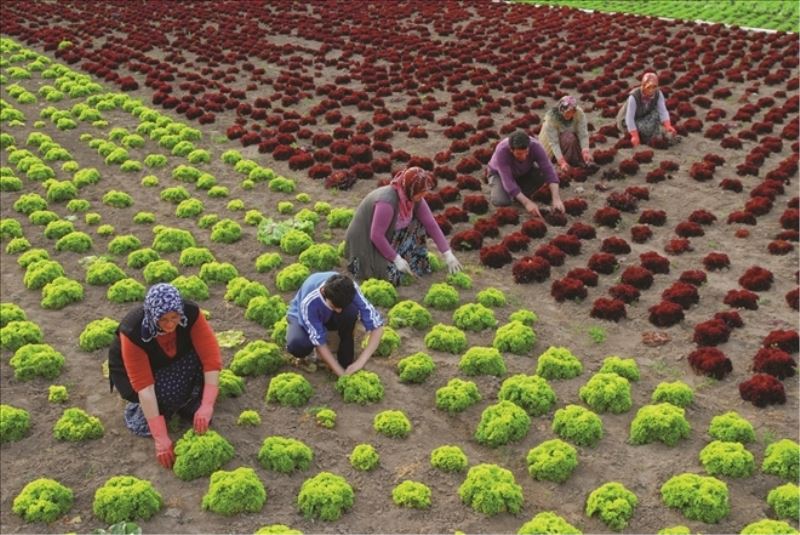 İzinleri kaymakamlıklar verecek