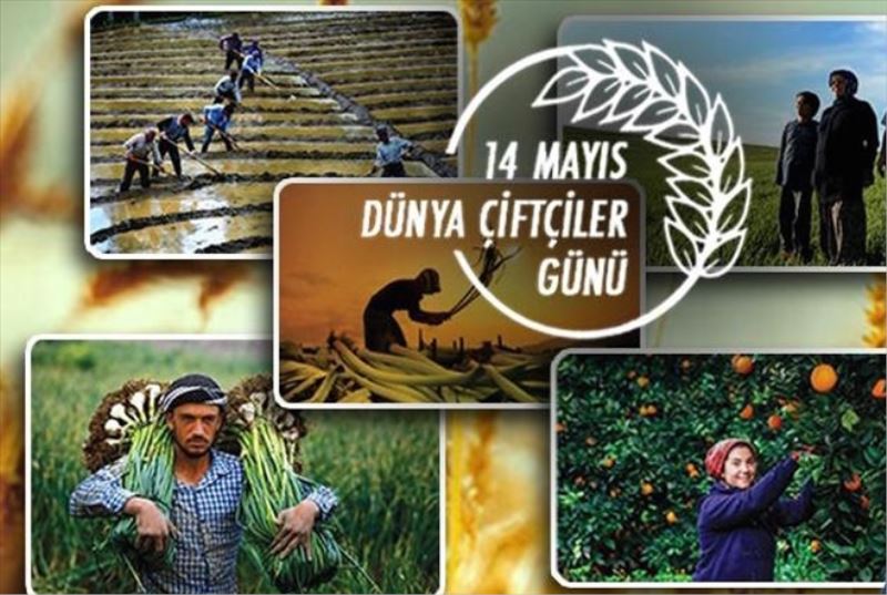 Bugün Dünya Çiftçiler Günü