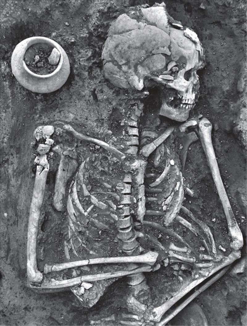 DNA kalıntıları uluslararası dergide