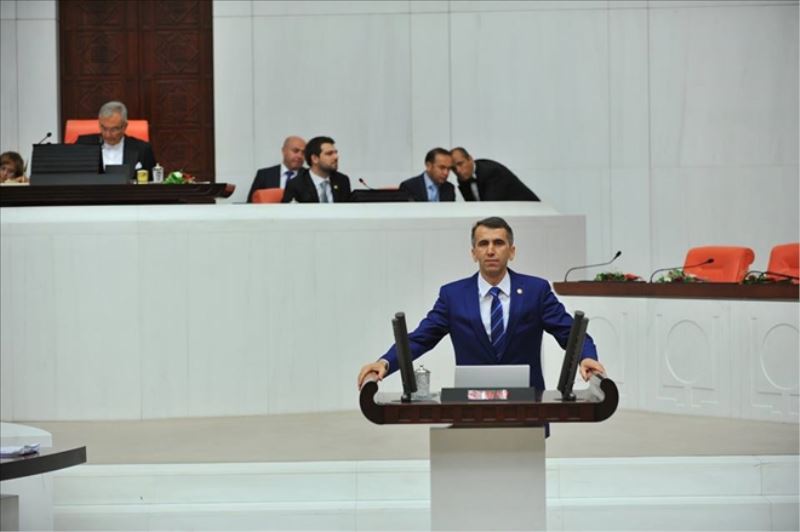 Yurt dışındaki vatandaşın sorunu Meclis´te