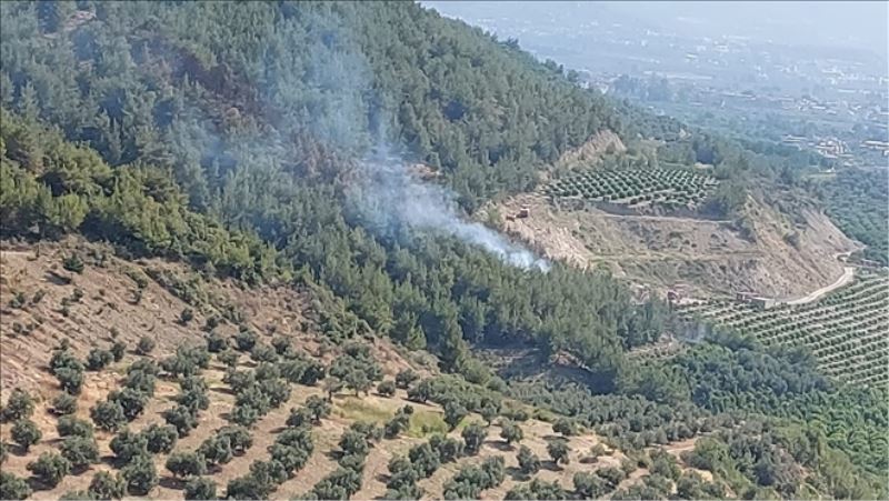 Beyköy´de 5 hektar orman yandı
