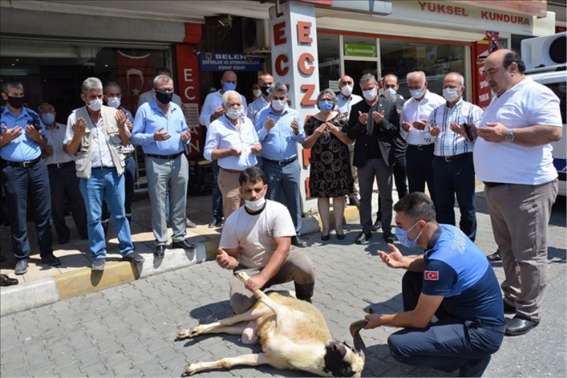 Kazalara karşı kurban kesimi