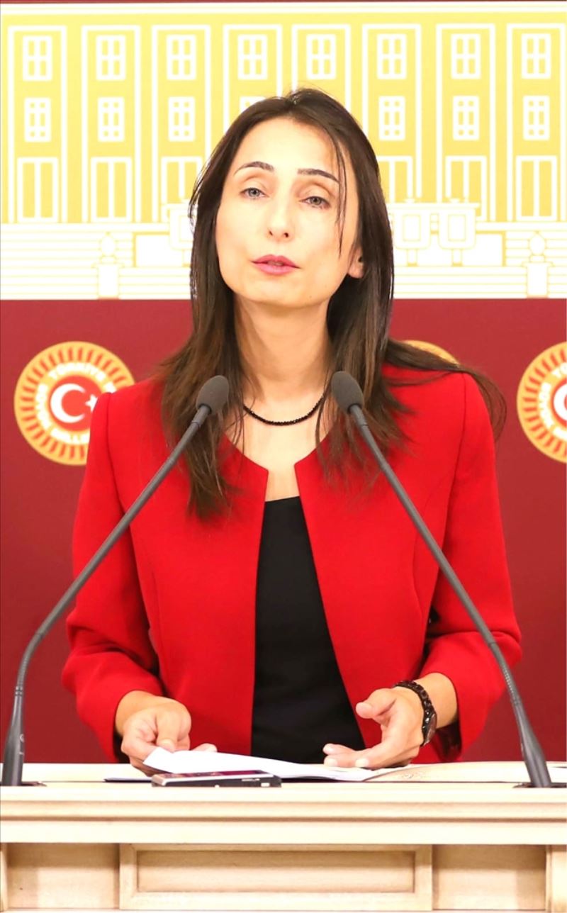 Körfez´e tarıma dayalı OSB