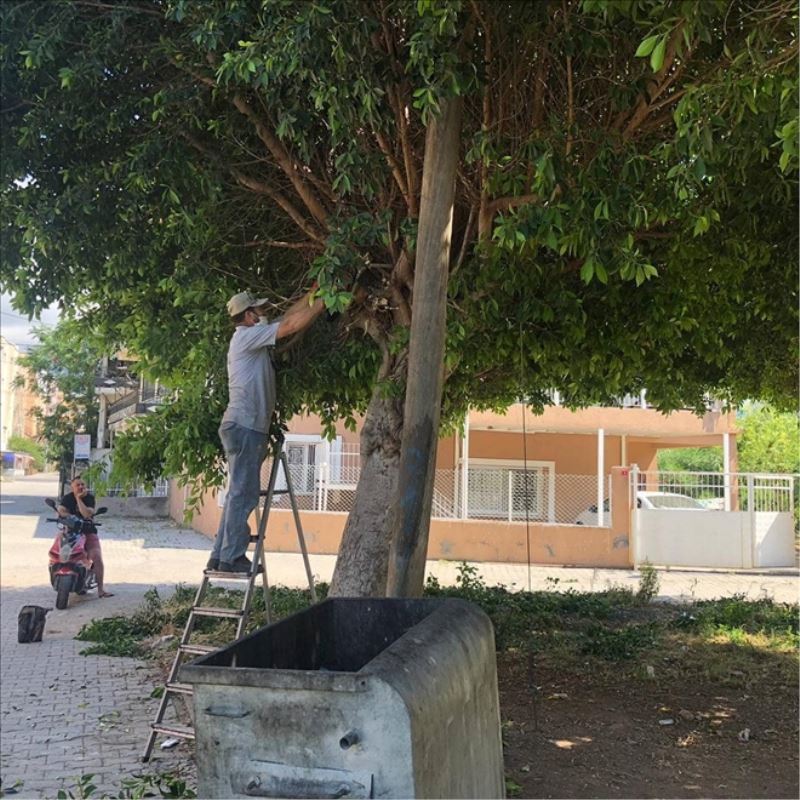 Parklara bakım sürüyor