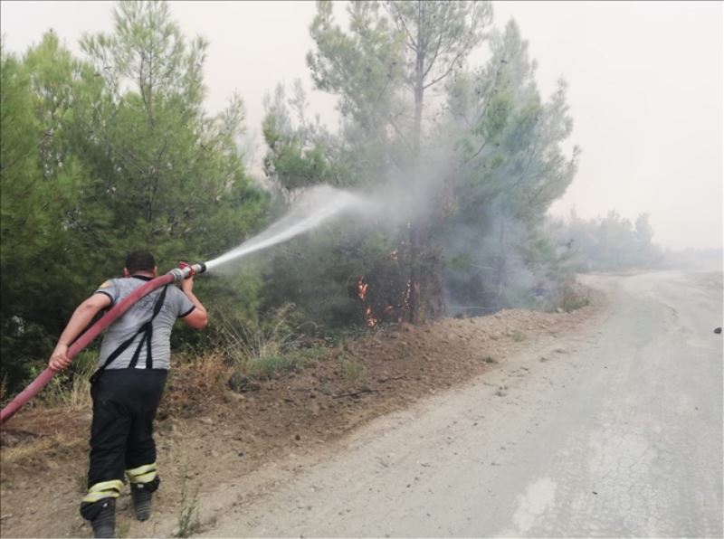 Her köyden 3 kişiyi yangın eğitimi