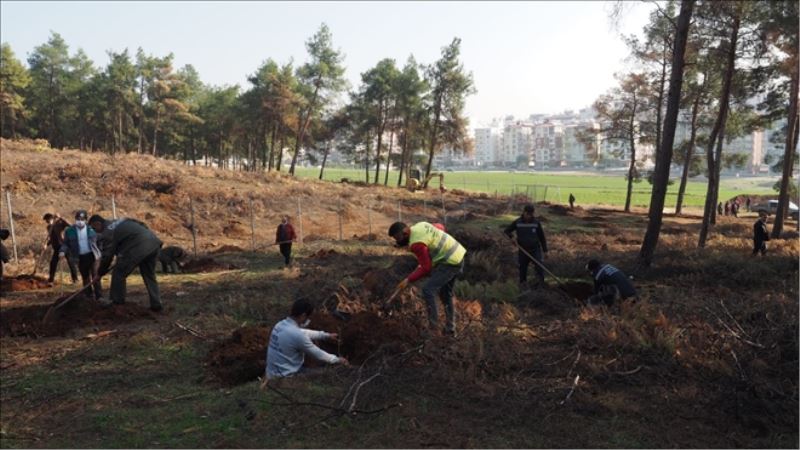 Hedef 1 milyon fidan