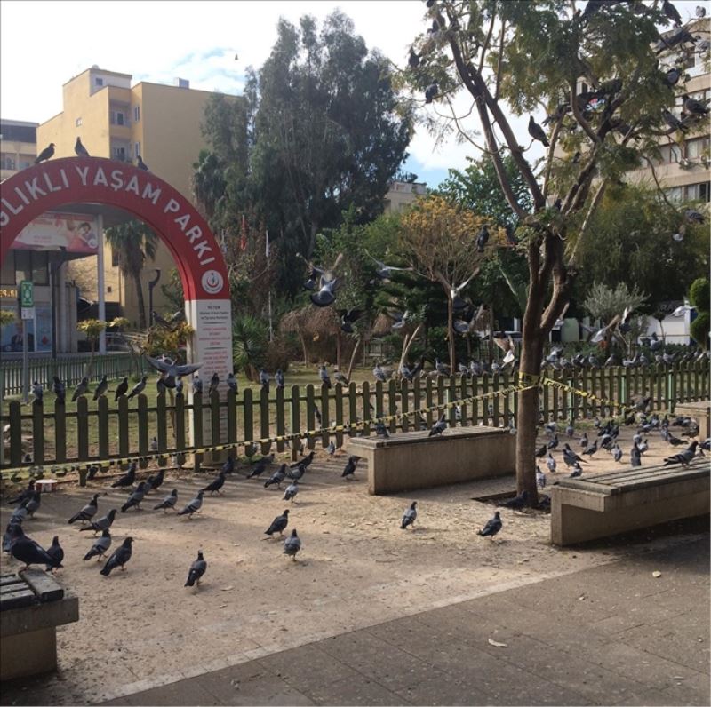 ‘Cadde yasağı´ ertelendi