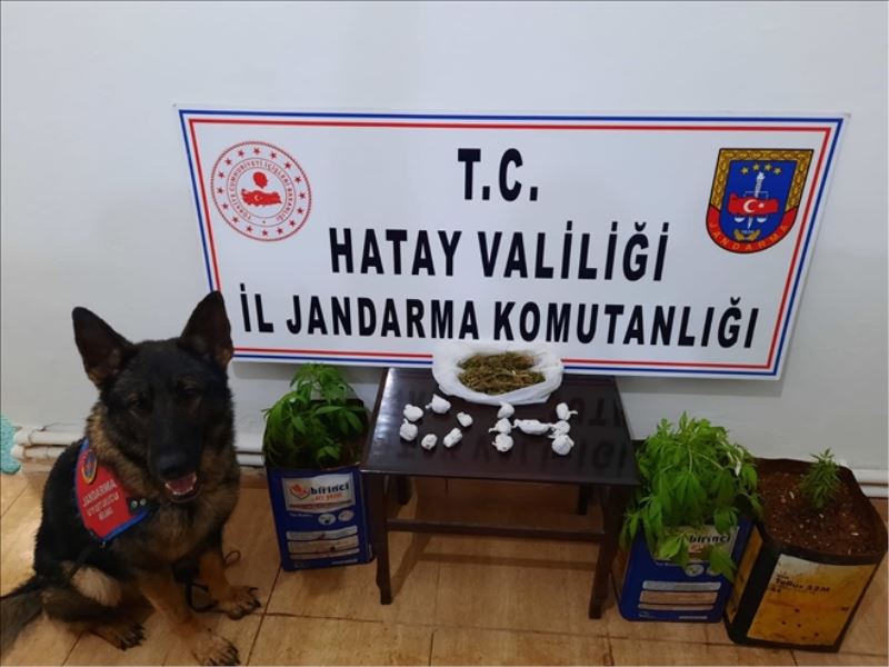 Uyuşturucu operasyonu