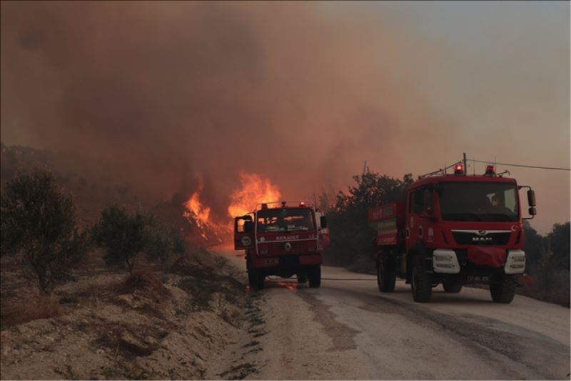 Altınözü´nde zeytinlik yangını