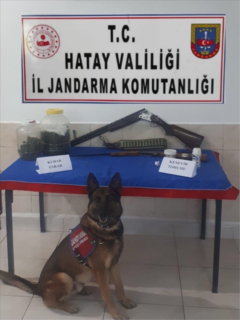 15 ilçede 22 gözaltı, 3 tutuklama