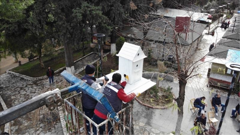 Kedi ve kuş yuvaları geri dönüşümle
