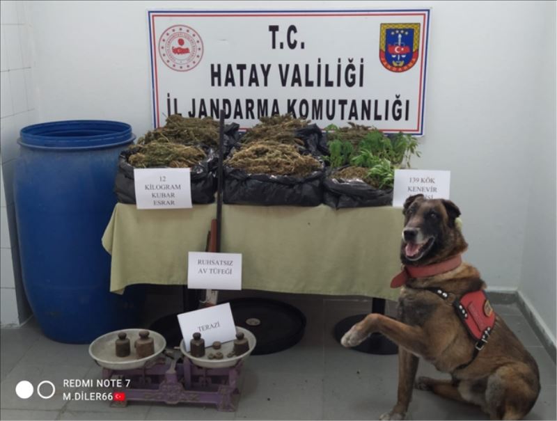 Uyuşturucu operasyonu