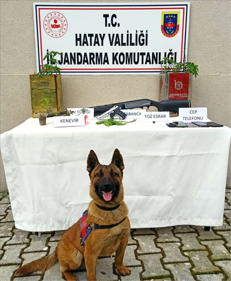 Uyuşturucuya 7 tutuklama