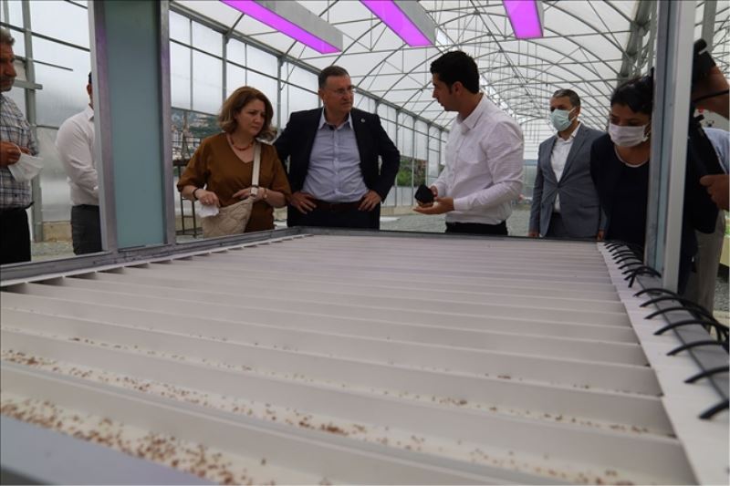 HBB,´ topraksız tarım´ sistemini tanıttı