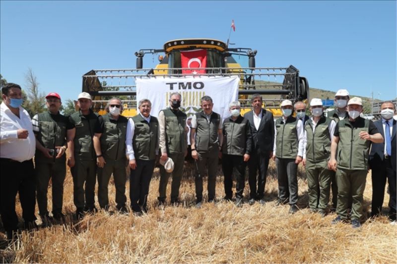 Hasada katıldı, fidan dikti