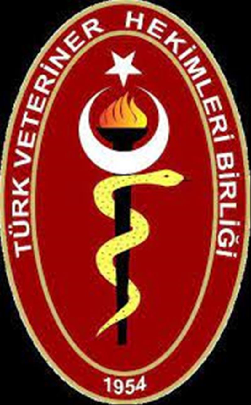 Dünya Arı Günü