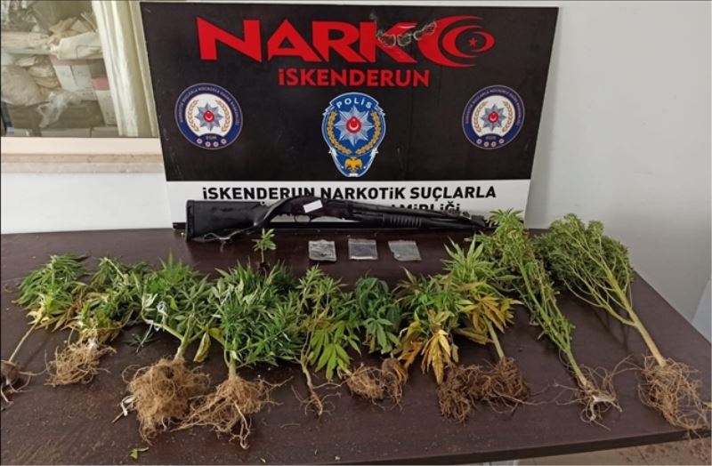 3 ilçede uyuşturucu operasyonu