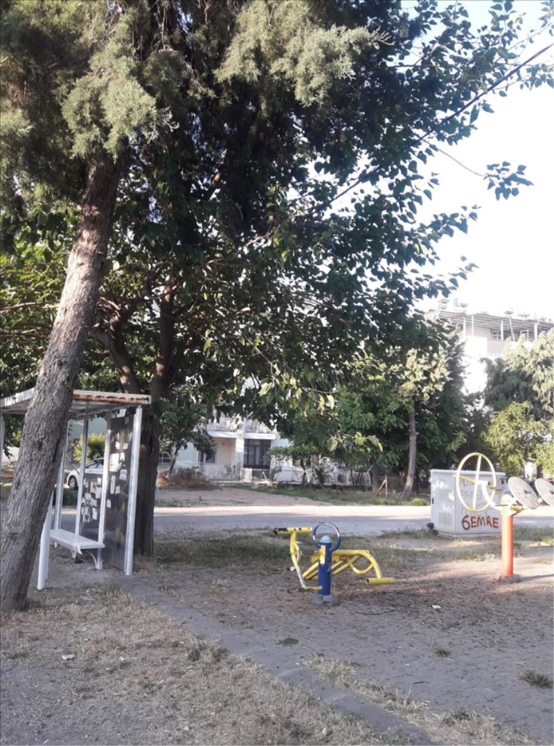 ´Parkı temizlenmeyin´ istemi
