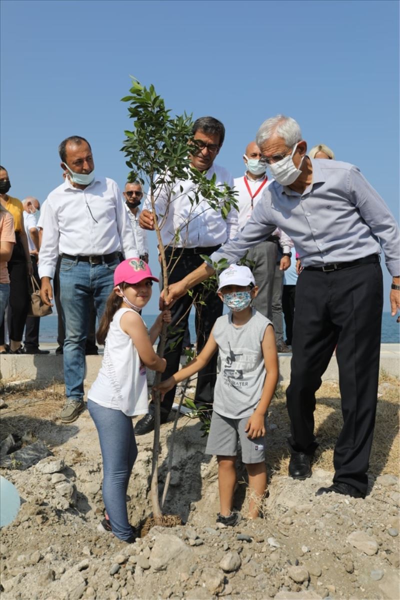 Yürüyüş yoluna fidan dikimi