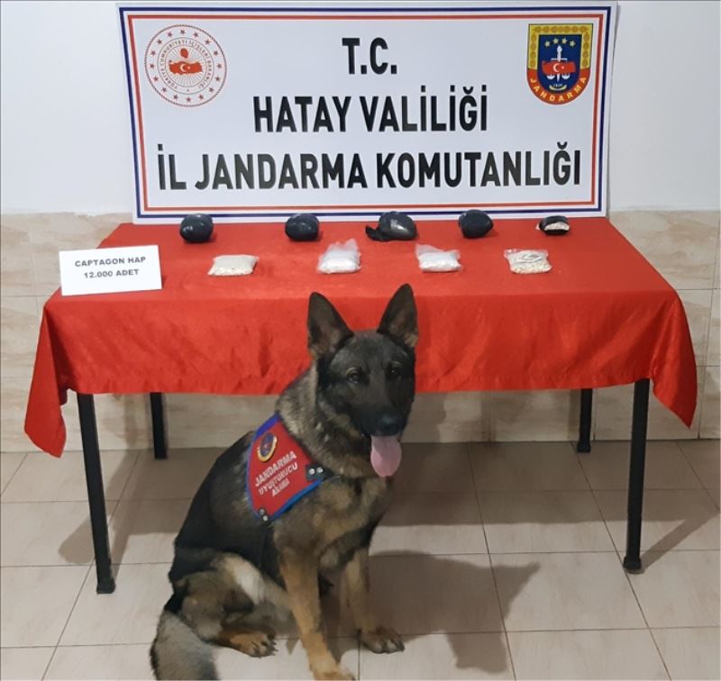 Jandarmadan uyuşturucu operasyonu