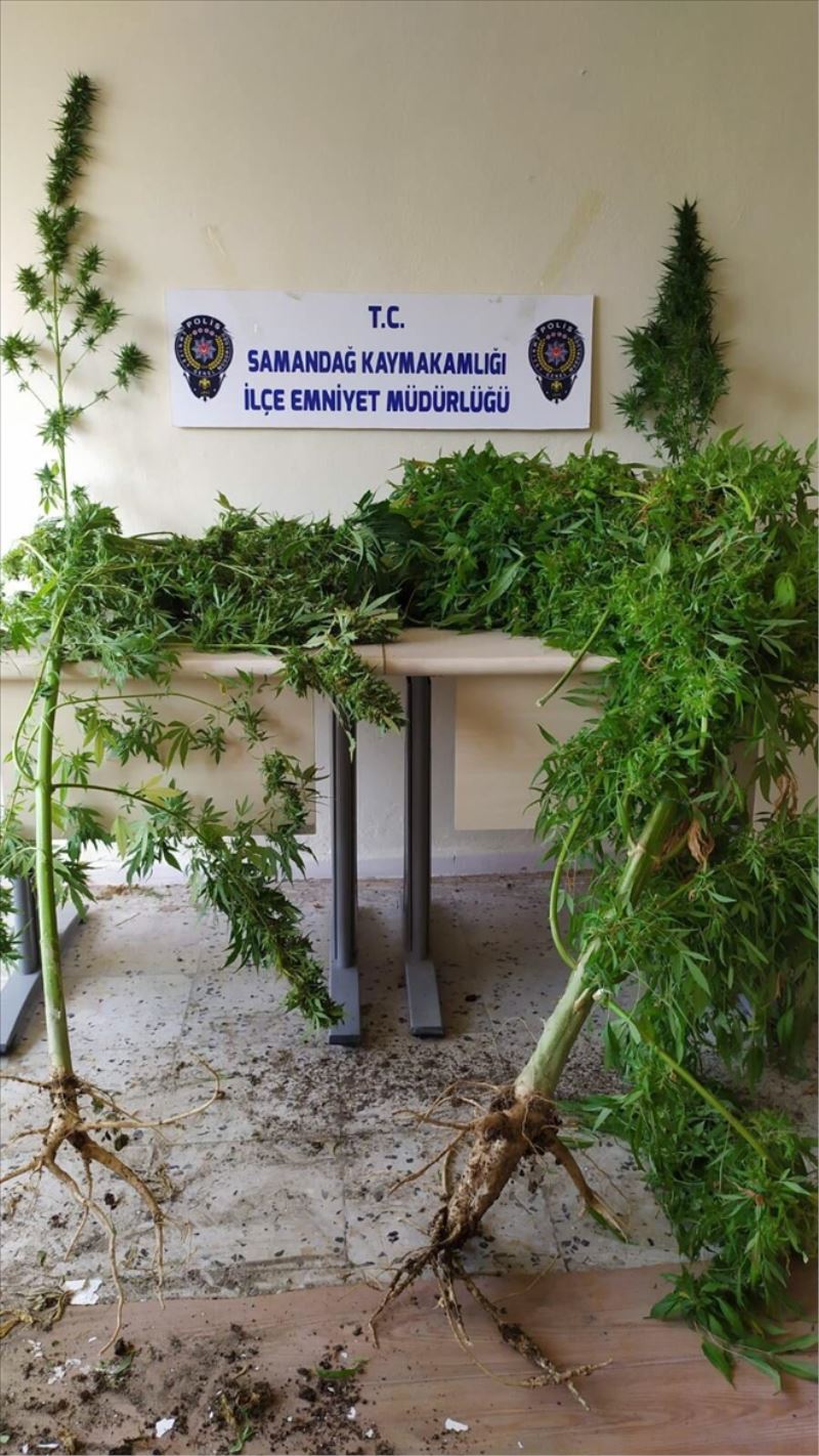 Uyuşturucu operasyonu