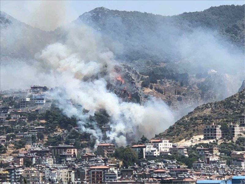 Hatay´da 2 noktada orman yangını