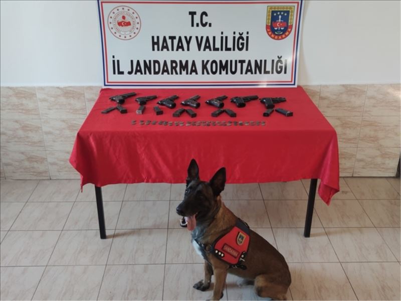 Sınırda ´silah ve sikke operasyonu´