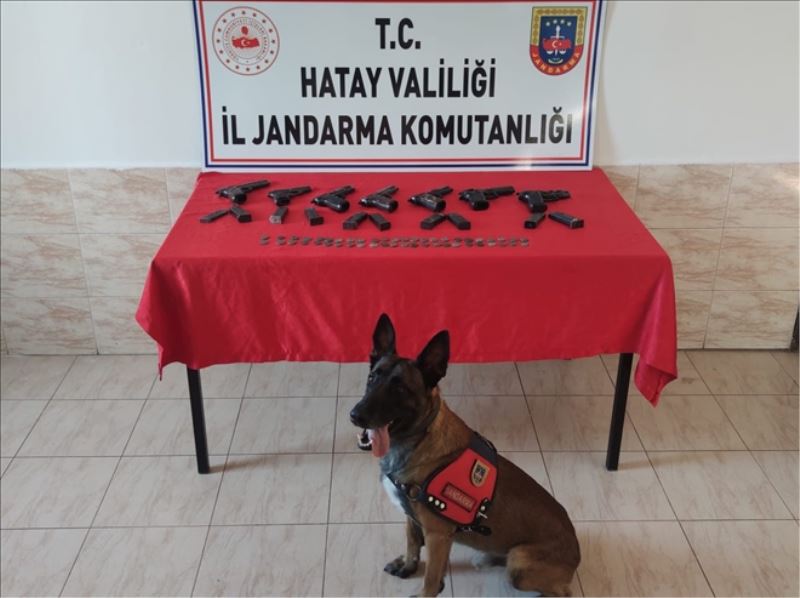 Sınırda ´silah ve sikke operasyonu´