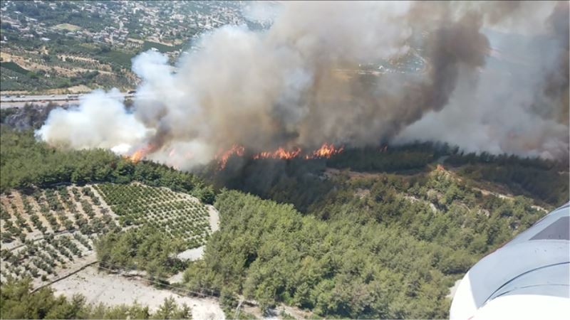 Dörtyol ve Antakya´da yangın