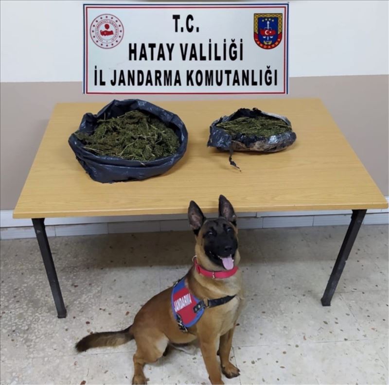 Jandarmadan uyuşturucu operasyonu
