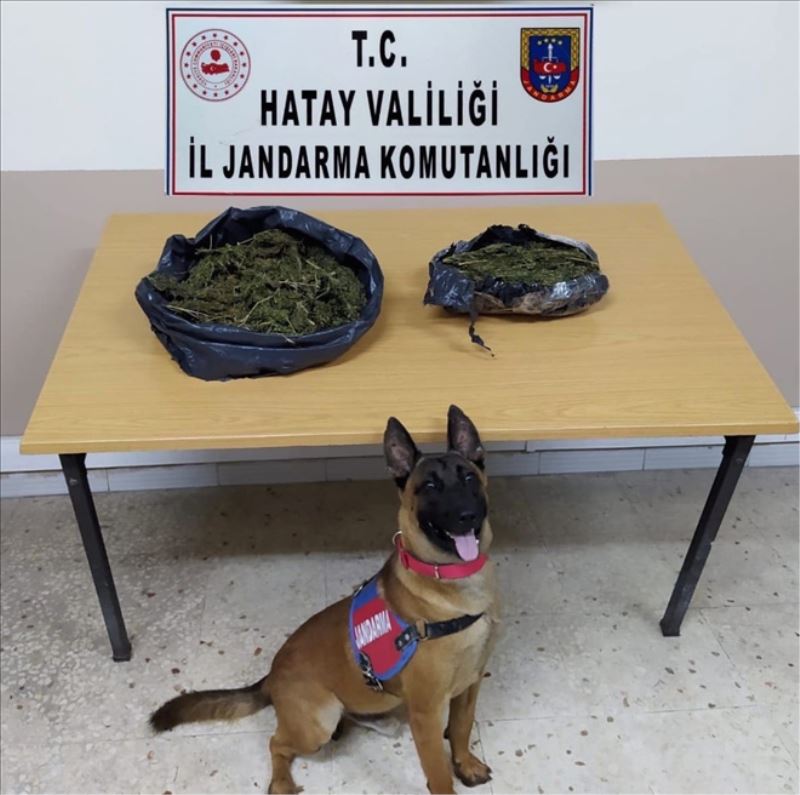 Jandarmadan uyuşturucu operasyonu