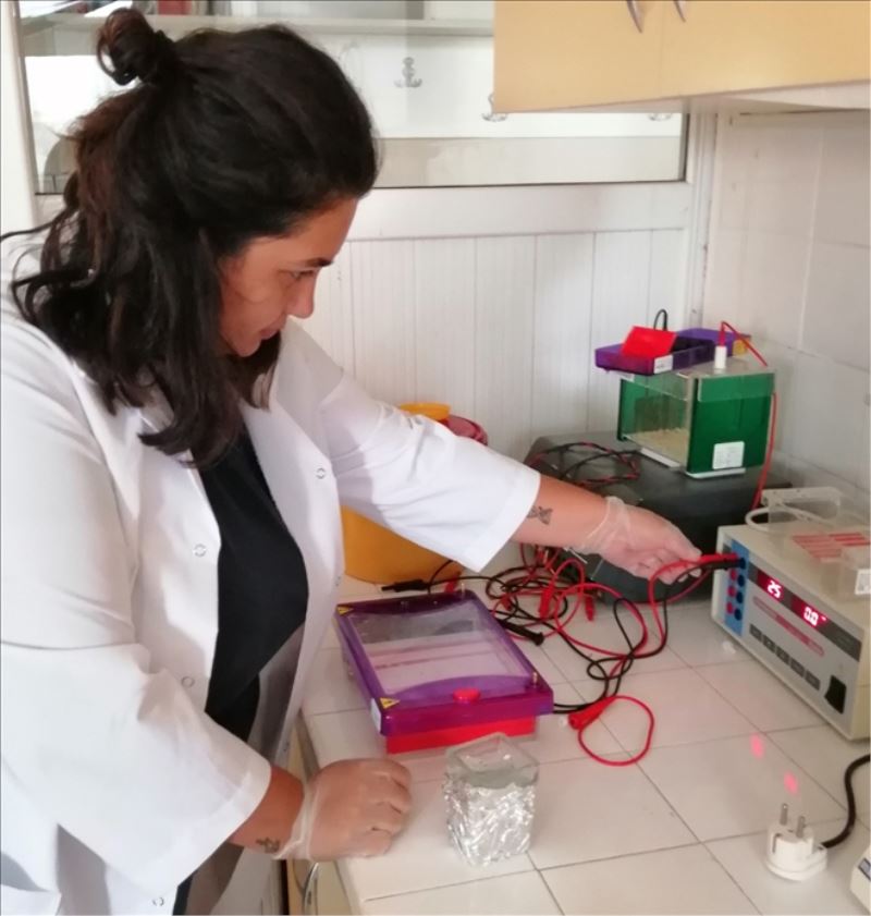 İSTE öğrencisine TÜBİTAK bursu