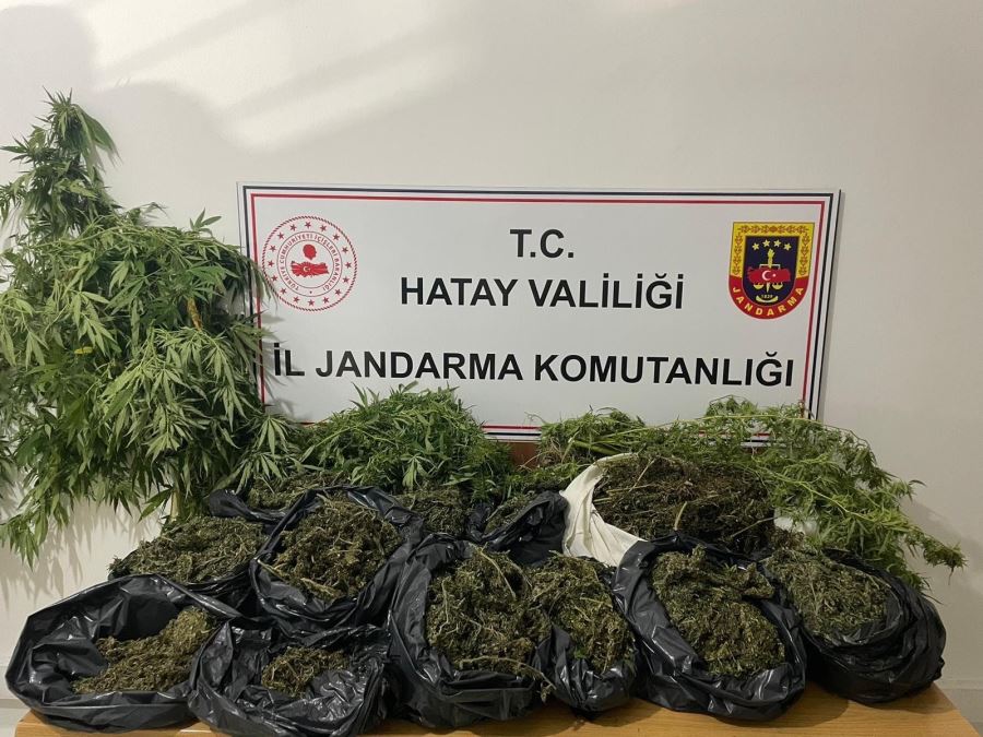 Evde 21 kilo esrar 