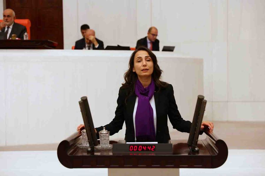 Sokak ortasında cinayete önerge