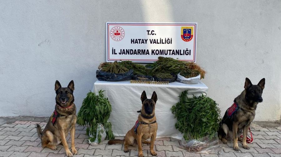 3 ilçede uyuşturucu operasyonu